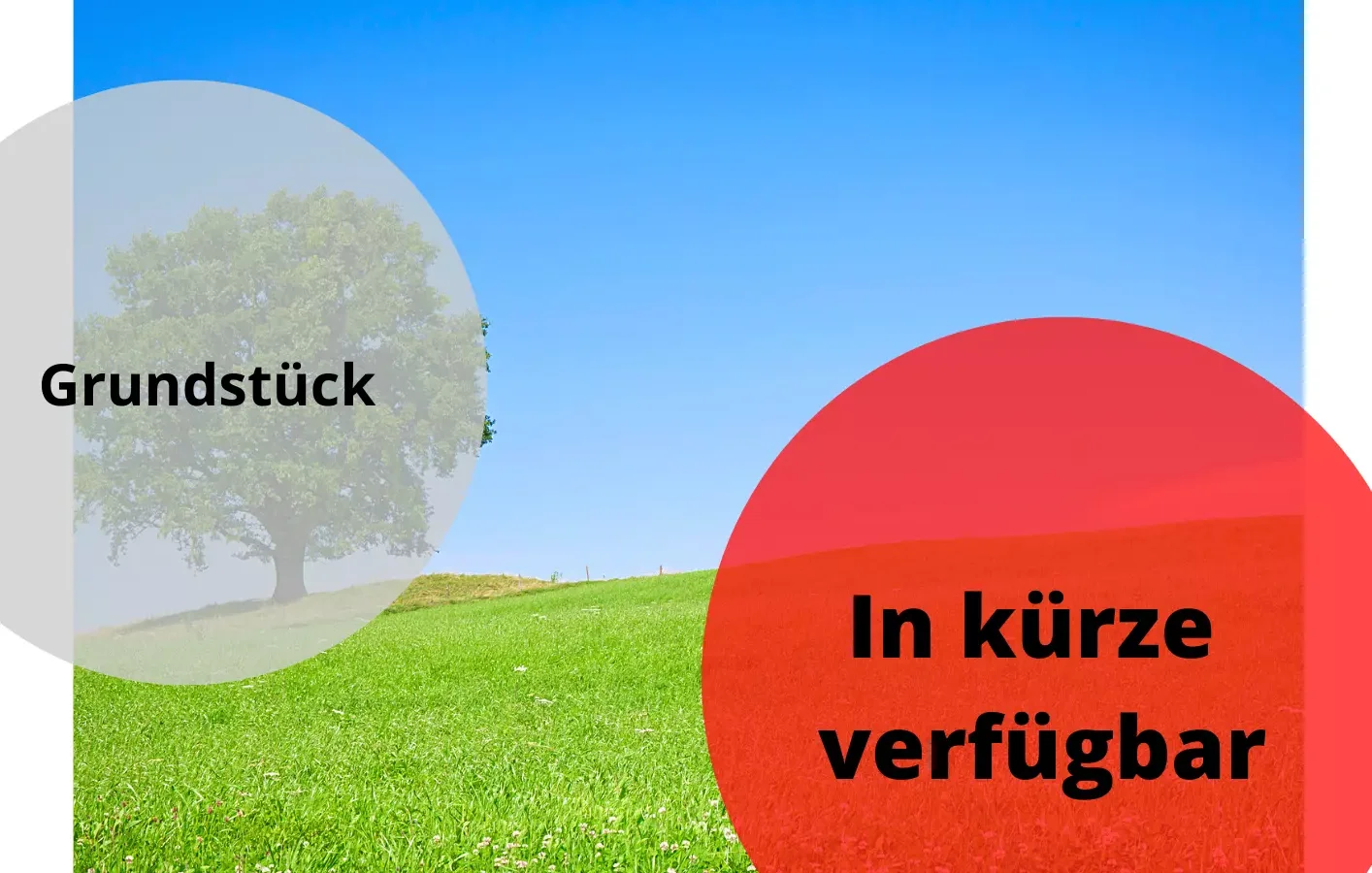 Grundstück im ländlichen Raum – Immobilienmarkt Main-Tauber-Kreis