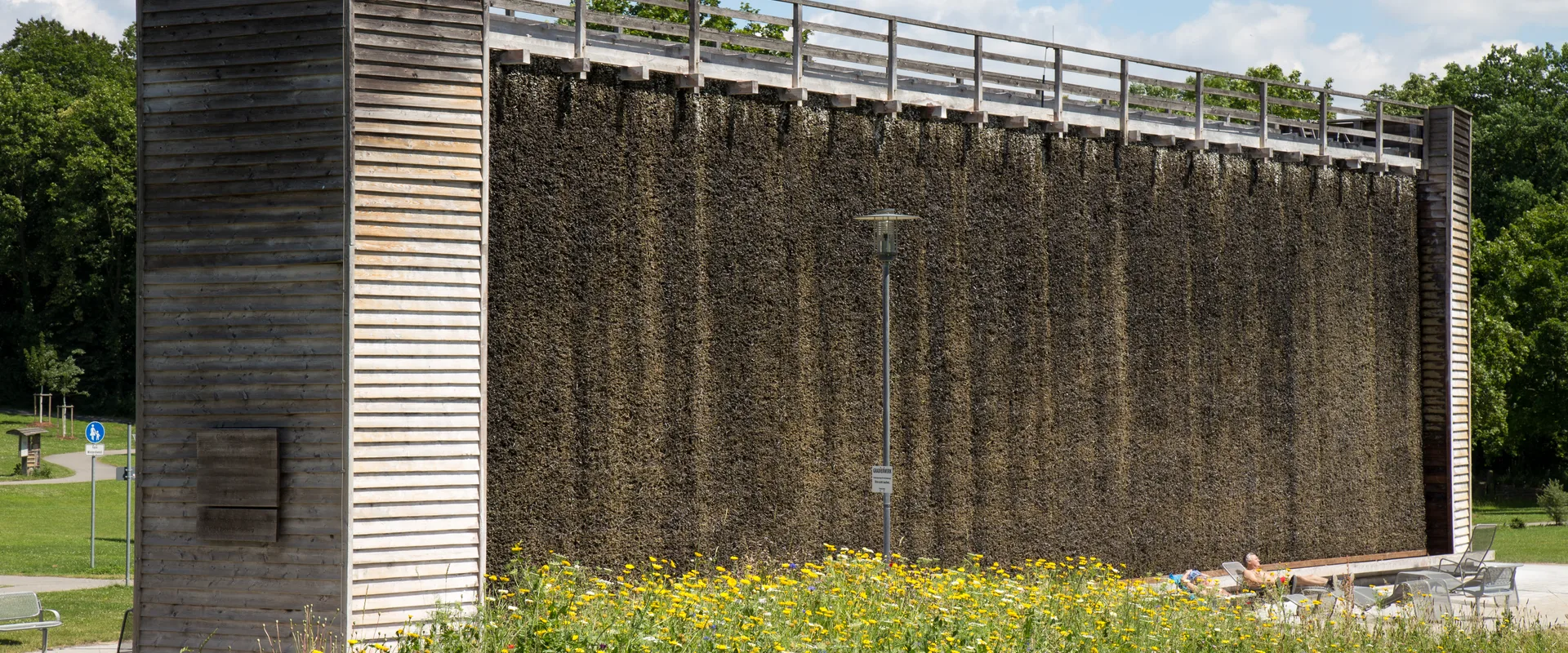 Gradierwerk im Salinenpark von Bad Rappenau mit blühender Wiese im Vordergrund