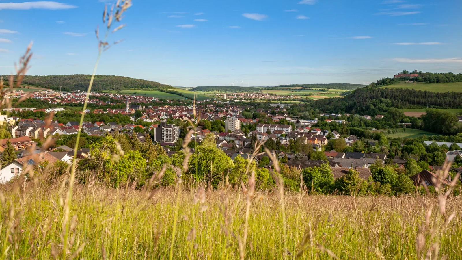 Blick vom Altenberg über die Wohnbebauung von Igersheim im Main-Tauber-Kreis