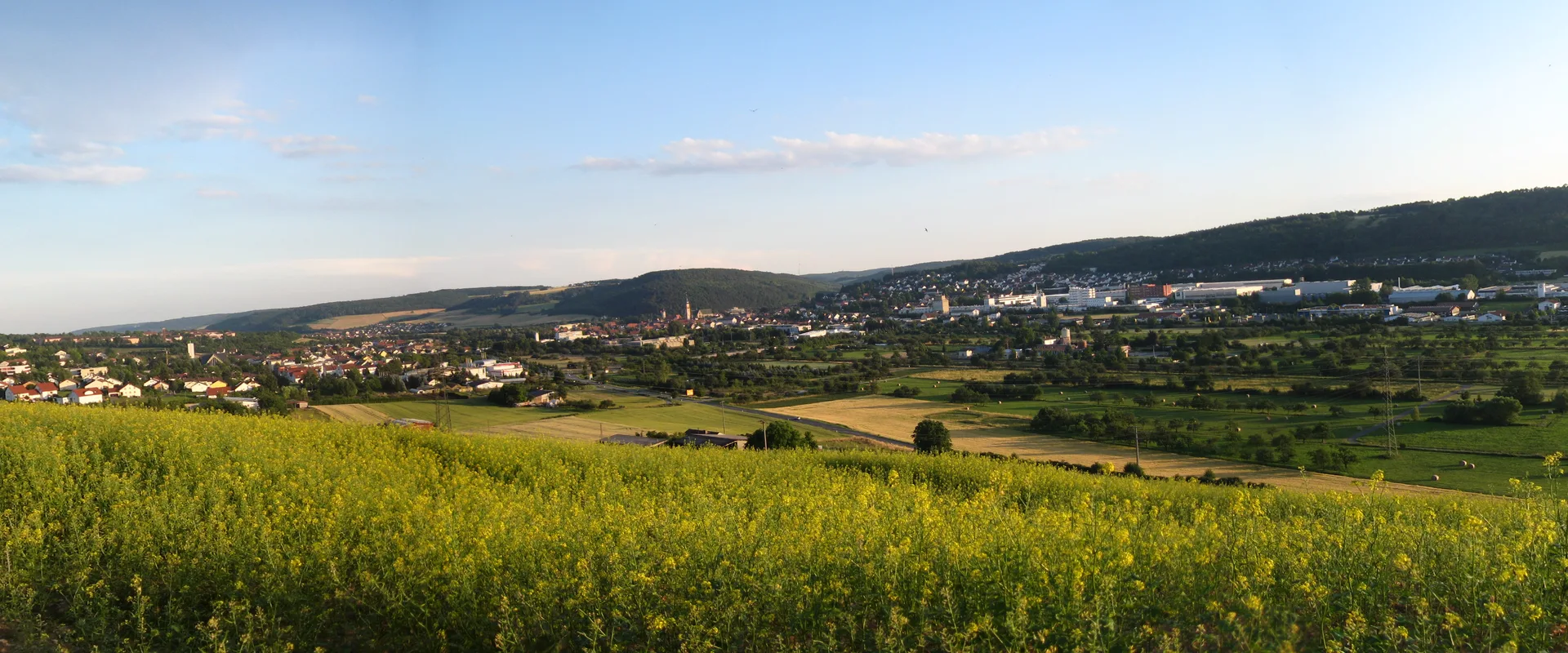 Blick über Tauberbischofsheim von einem blühenden Feld am Hang aus
