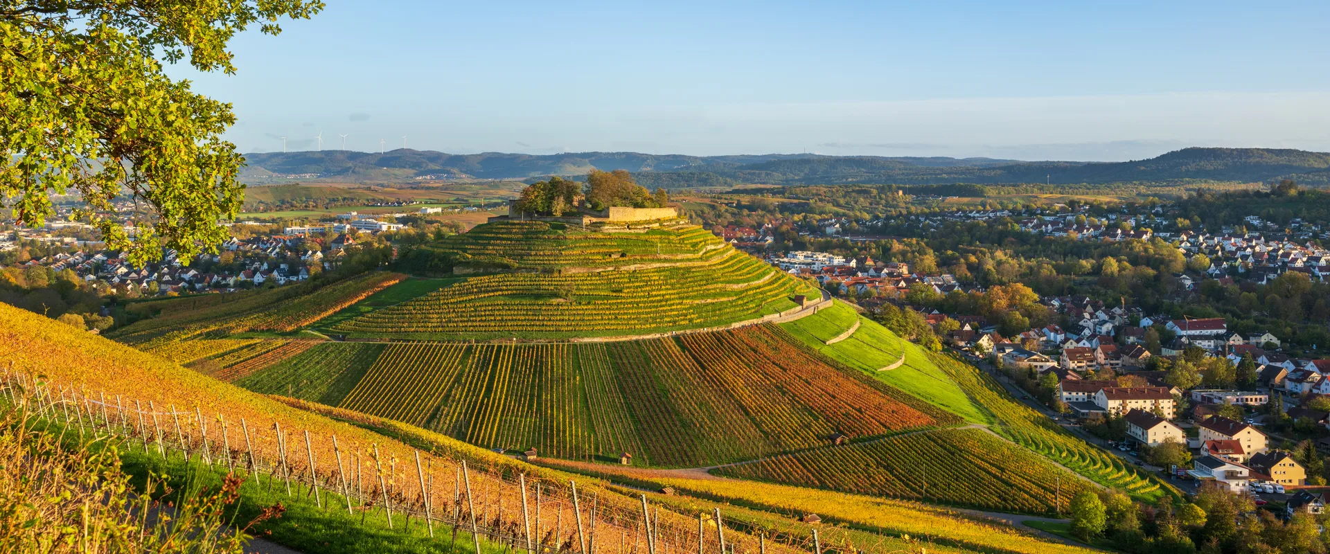 Der Weinsberger Burgberg mit der Ruine Weibertreu über herbstlichen Weinbergen, rechts die Wohnbebauung der Stadt